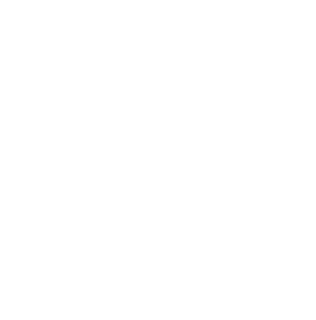 Mynämäen Isku